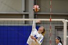 Volleyball vs MHC  Wheaton Women's Volleyball vs Mount Holyoke College. - Photo by Keith Nordstrom : Wheaton, Volleyball